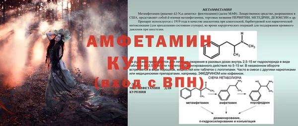 скорость Бронницы