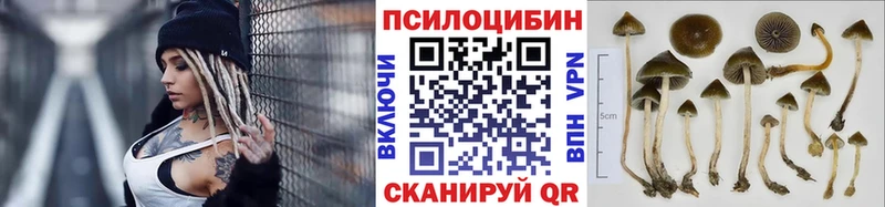 Псилоцибиновые грибы прущие грибы  Карабаново 